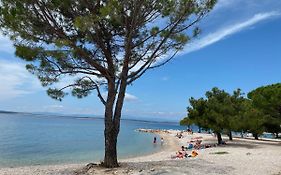 Family Apartments Vesna- 100 M Beach -Center Crikvenica